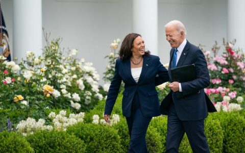 Para especialistas, tendência é que Kamala seja candidata do Partido Democrata