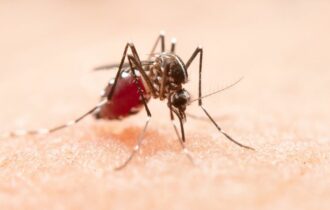 Ministério da Saúde anuncia expansão de tecnologias no combate à Dengue