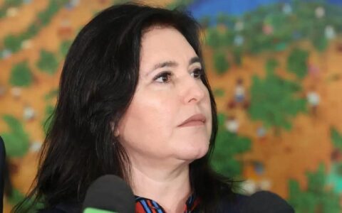 Democratas precisam de fato novo, diz Simone Tebet