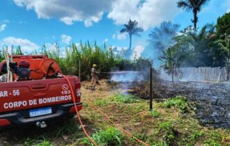 Amazonas registra 260 focos de incêndio em um dia