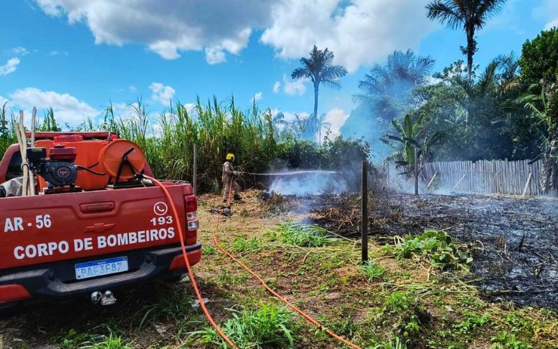 Amazonas registra 260 focos de incêndio em um dia