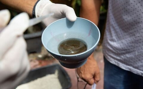 Manaus tem 26 bairros com alta vulnerabilidade para doenças transmitidas pelo Aedes aegypti
