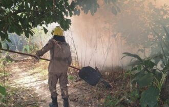 Operação Aceiro 2024: Corpo de Bombeiros combateu 560 focos de incêndios em um mês