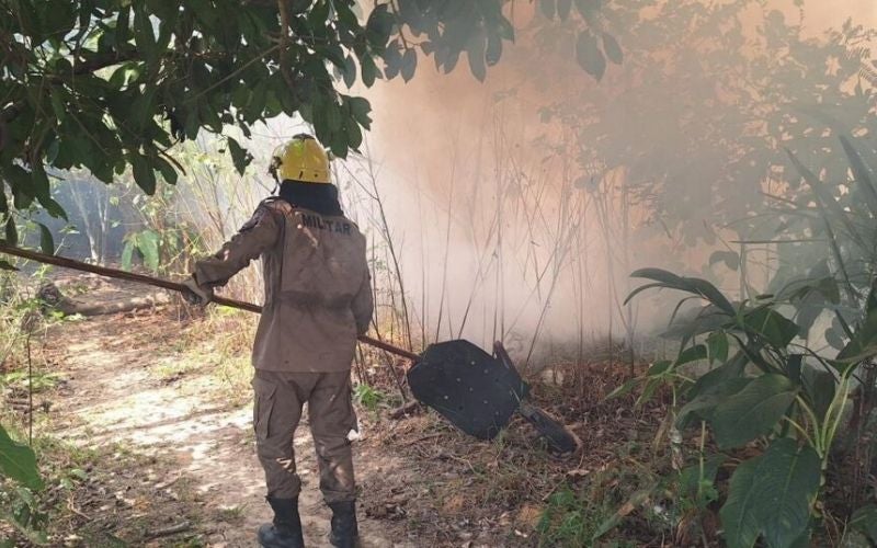 Operação Aceiro 2024: Corpo de Bombeiros combateu 560 focos de incêndios em um mês