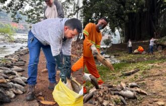 Morte de três toneladas de peixes no Rio Piracicaba é investigada