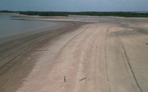 Mudanças climáticas já interferem em secas e cheias na Amazônia