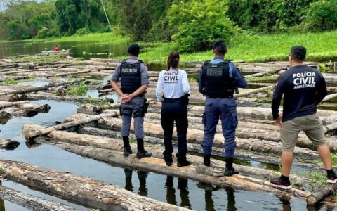 Polícias Civil e Militar apreendem 600 toras de madeira ilegal no rio Purus