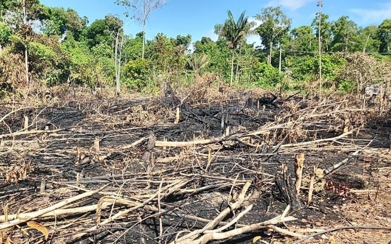 Polícia Civil do Amazonas alerta a população sobre riscos da prática das queimadas