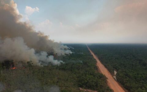 TCE-AM emite alerta aos 62 municípios para combate às queimadas e estiagem