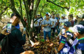 Governo do Amazonas busca alavancar a cadeia produtiva de cacau em Coari