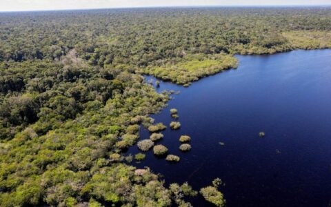 União Europeia fará doação de R$ 120 milhões ao Fundo Amazônia