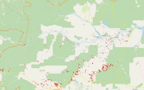 AM registra aumento significativo nos focos de incêndio em 2024, aponta INPE