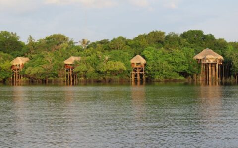 Amazonas entra no ranking dos 50 melhores hotéis do Brasil, aponta Exame Casual 2024‌