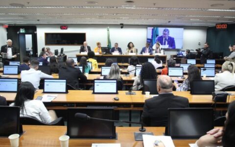 Comissão aprova projeto que destina recurso do FNMA para municípios com altas taxas de desmatamento ou queimadas