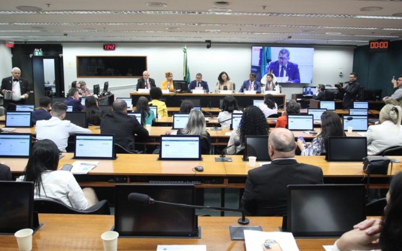 Comissão aprova projeto que destina recurso do FNMA para municípios com altas taxas de desmatamento ou queimadas