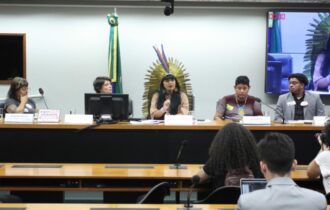 Discussão sobre agrotóxicos aconteceu nesta segunda (26) na Câmara dos Deputados