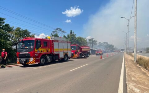 Corpo de Bombeiros combate incêndio em vegetação e impede propagação para residências