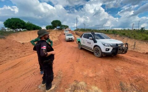 Operação Tamoiotatá aplicou mais de R$ 16 milhões em multas por crimes ambientais