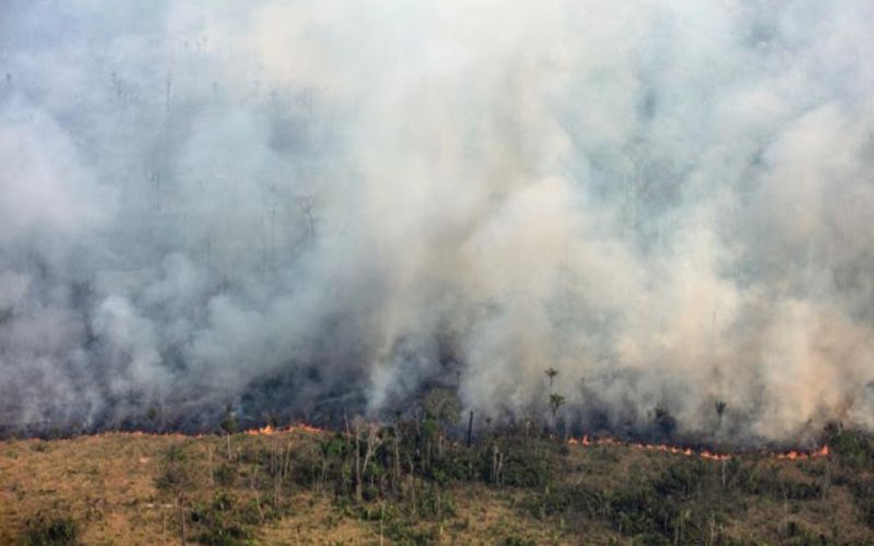 Focos de calor na Amazônia (Foto: Marizilda Cruppe /Greenpeace/Divulgação) Focos de calor na Amazônia tiveram aumento de 98% em julho