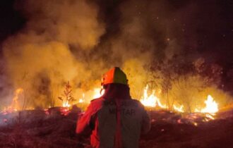 Tadeu afirma que a Operação Aceiro já combateu 7 mil focos de incêndios no AM