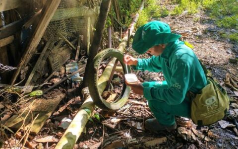 Amazonas lidera ranking dos estados com mais casos de febre Oropouche