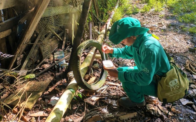 (Foto: Divulgação/FVS) Amazonas lidera ranking dos estados com mais casos de febre Oropouche