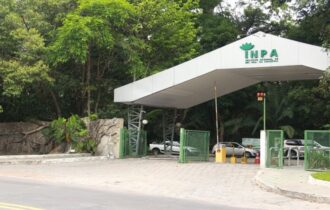 Bosque da Ciência do Inpa é palco da Semana da Suçuarana