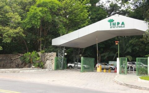 Bosque da Ciência do Inpa é palco da Semana da Suçuarana