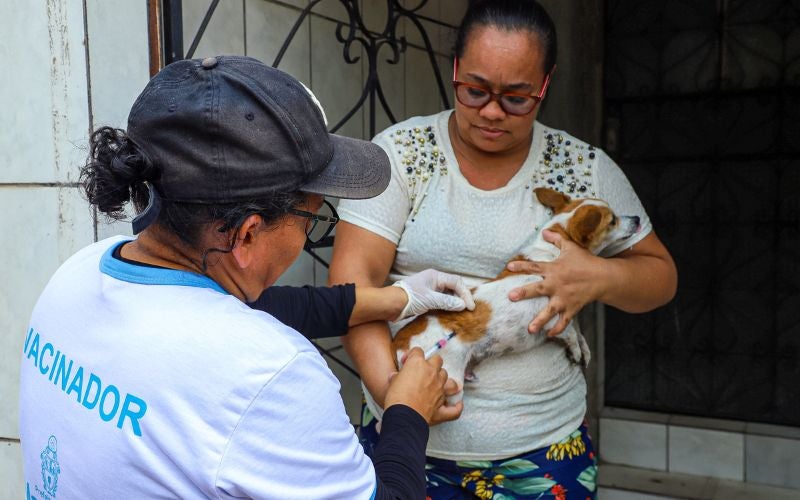 Prefeitura de Manaus anuncia novo ponto de vacinação antirrábica na zona Norte