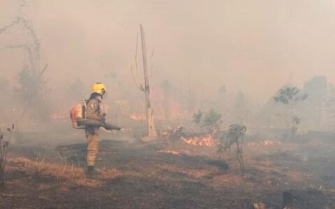 Em Apuí, bombeiros combatem incêndio de grandes proporções em pasto