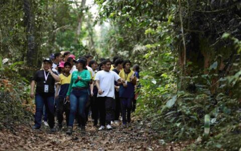 Mais de 12 mil alunos da rede estadual participarão da 2ª edição do Projeto Fazenda Escola