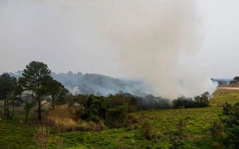Amazônia em chamas: cidades do PA passam de 1.000 focos de incêndio