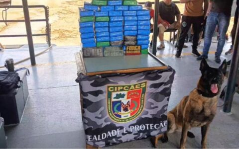 Base Arpão 1: Cadela policial encontra 60 quilos de cocaína escondidos em mala