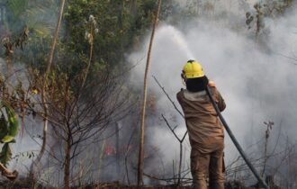 Em dois meses, Operação Aceiro 2024 combateu 4.276 focos de incêndios no interior