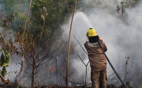 Em dois meses, Operação Aceiro 2024 combateu 4.276 focos de incêndios no interior