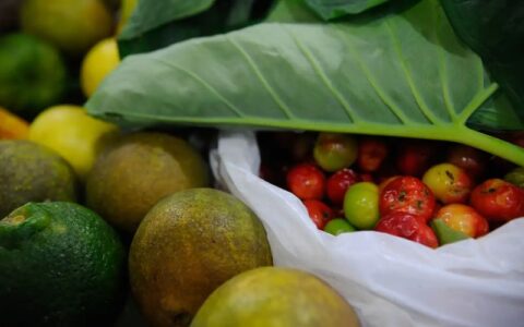 Estiagem 2024: Sepror alinha ações de segurança alimentar nos municípios