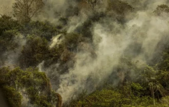 AGU cobra R$ 725 milhões de acusados por danos ambientais no Pantanal