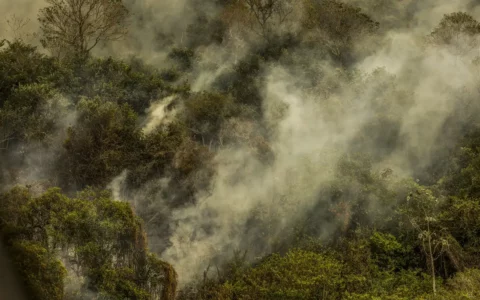 AGU cobra R$ 725 milhões de acusados por danos ambientais no Pantanal