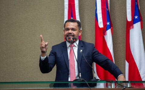 Rozenha alfineta deputados que têm 'medo de perder voto'