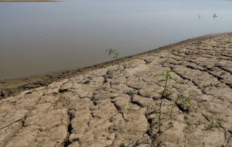 Níveis críticos no rio Negro intensificam preocupação com estiagem no Amazonas
