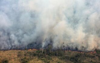Focos de calor na Amazônia tiveram aumento de 98% em julho