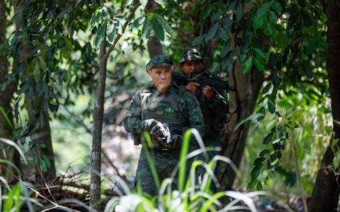 Batalhão de Policiamento Ambiental intensifica monitoramento e combate às queimadas no Amazonas