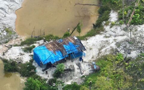 Ação entre Forças Armadas e Ibama desarticula garimpo ilegal na fronteira entre Brasil e Colômbia