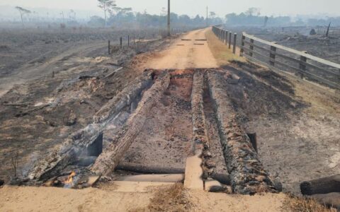 Homem é preso por provocar incêndio em área de mata em Apuí