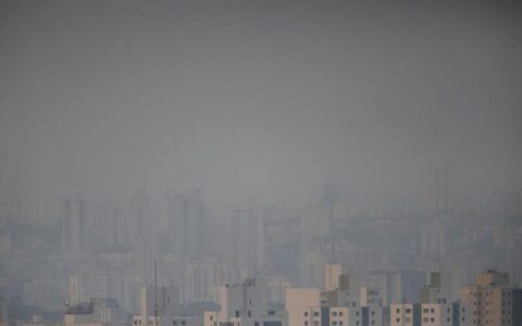 São Paulo tem alerta para incêndios florestais em todo o estado
