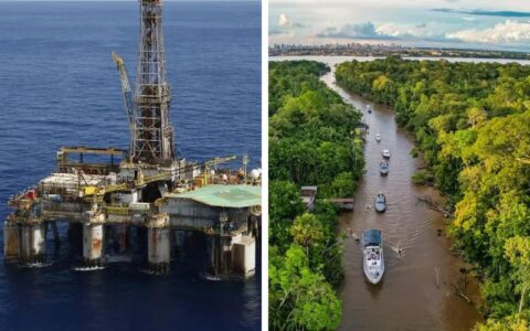 Governo pode ser obrigado a aplicar ganhos da produção petrolífera na proteção da Amazônia