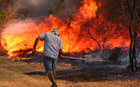 Presidente Lula reúne ministros para debater combate a incêndios florestais