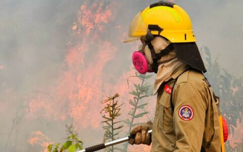 Para 59% dos brasileiros, incêndios são causados para criar desordem, aponta pesquisa