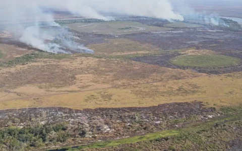 Emissão de gases por incêndios são recordes no Amazonas e Mato Grosso do Sul