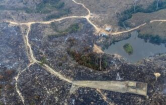 Número de focos de calor em agosto aumentou drasticamente na Amazônia